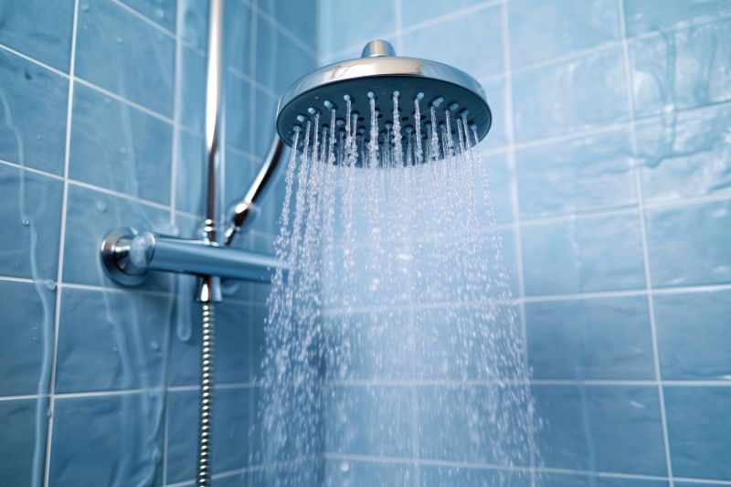 Multi-Function Showerhead